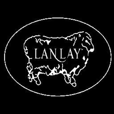 138817bd77828a7483105adb0b0d63ea 400x400